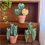 Indoor Tropical Plants Handmade Embroidery Green Plant Potted Plants