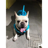 Dog Life Jacket Law Fighting Swimsuit Pet Supplies