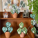 Indoor Tropical Plants Handmade Embroidery Green Plant Potted Plants